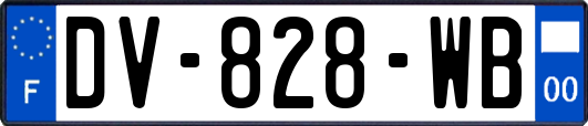 DV-828-WB