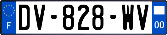 DV-828-WV