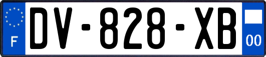 DV-828-XB