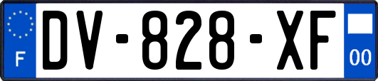 DV-828-XF