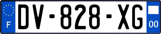 DV-828-XG