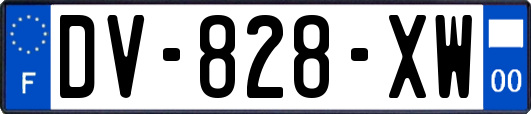 DV-828-XW
