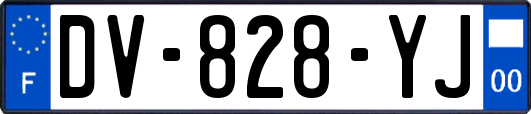 DV-828-YJ