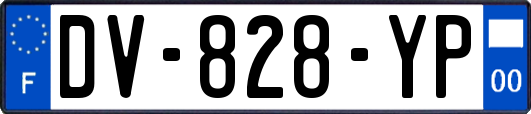 DV-828-YP