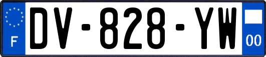 DV-828-YW