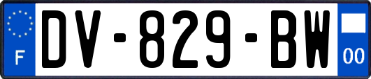 DV-829-BW