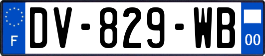 DV-829-WB