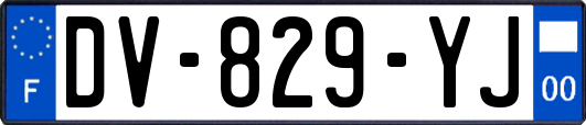 DV-829-YJ