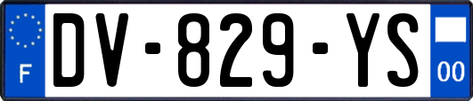 DV-829-YS