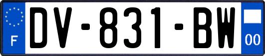 DV-831-BW