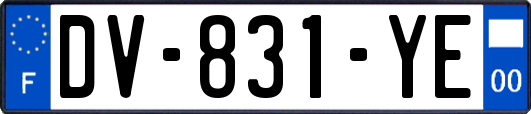 DV-831-YE