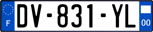 DV-831-YL