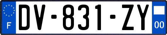 DV-831-ZY