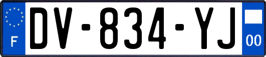 DV-834-YJ