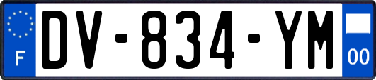 DV-834-YM
