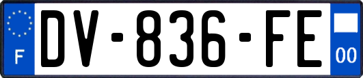 DV-836-FE