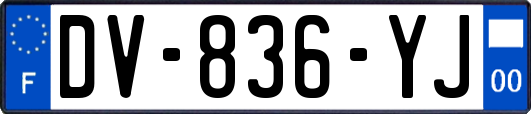 DV-836-YJ