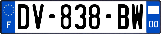 DV-838-BW