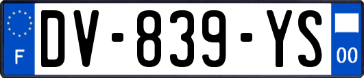 DV-839-YS