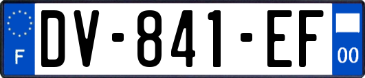 DV-841-EF