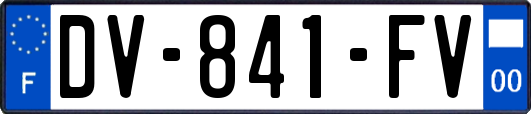 DV-841-FV