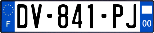 DV-841-PJ