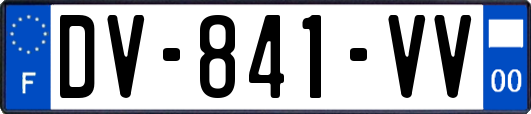 DV-841-VV