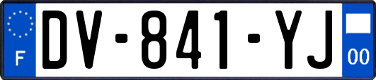 DV-841-YJ