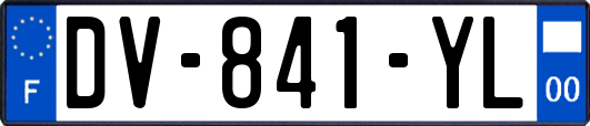DV-841-YL