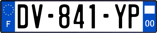 DV-841-YP