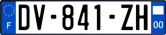 DV-841-ZH