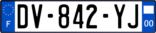 DV-842-YJ