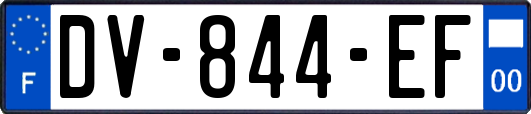 DV-844-EF