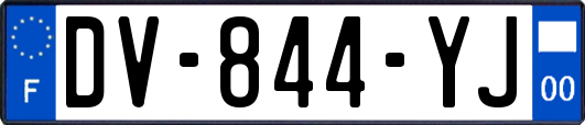 DV-844-YJ
