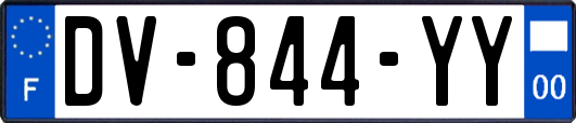 DV-844-YY