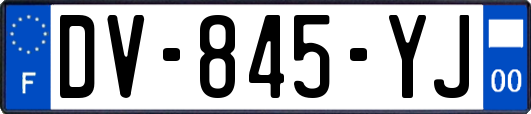 DV-845-YJ