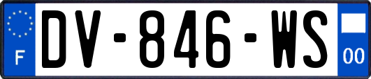 DV-846-WS