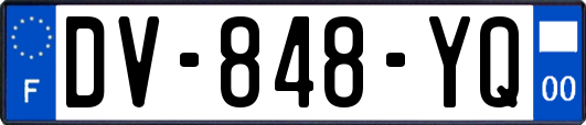 DV-848-YQ