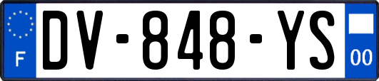DV-848-YS
