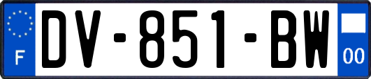 DV-851-BW