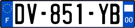 DV-851-YB
