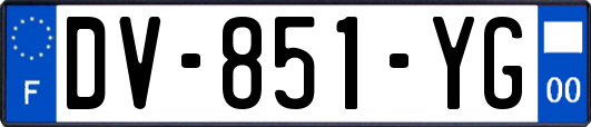 DV-851-YG