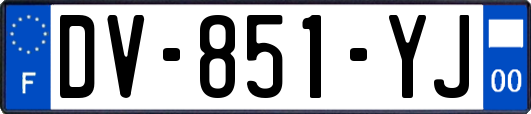 DV-851-YJ