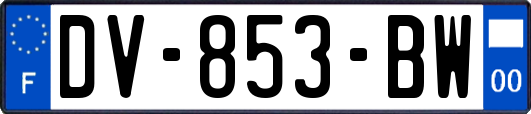 DV-853-BW