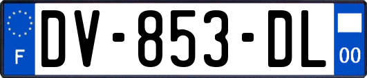 DV-853-DL