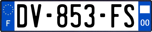 DV-853-FS