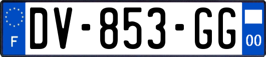 DV-853-GG