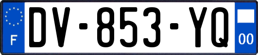 DV-853-YQ