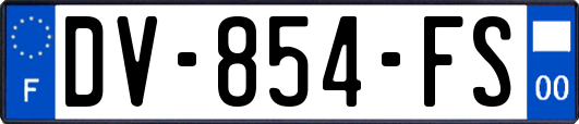 DV-854-FS