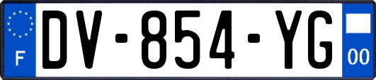 DV-854-YG